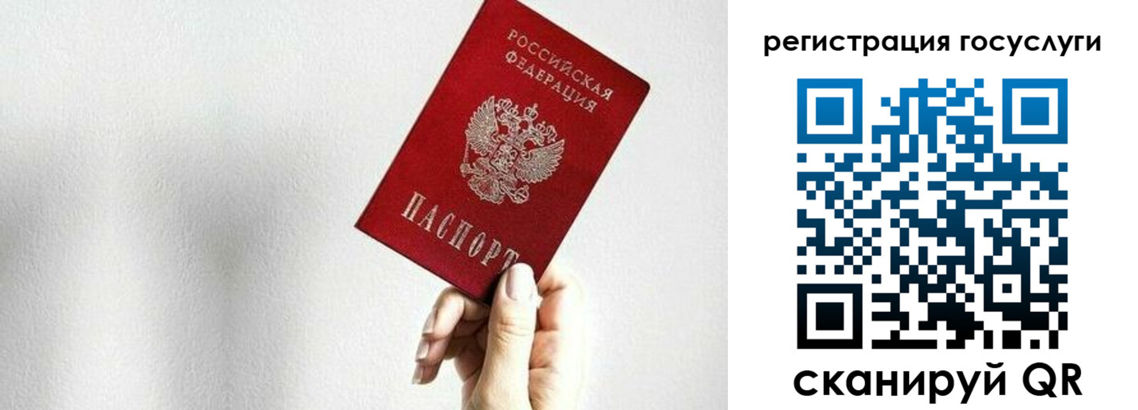прописка гарантия в Судогде